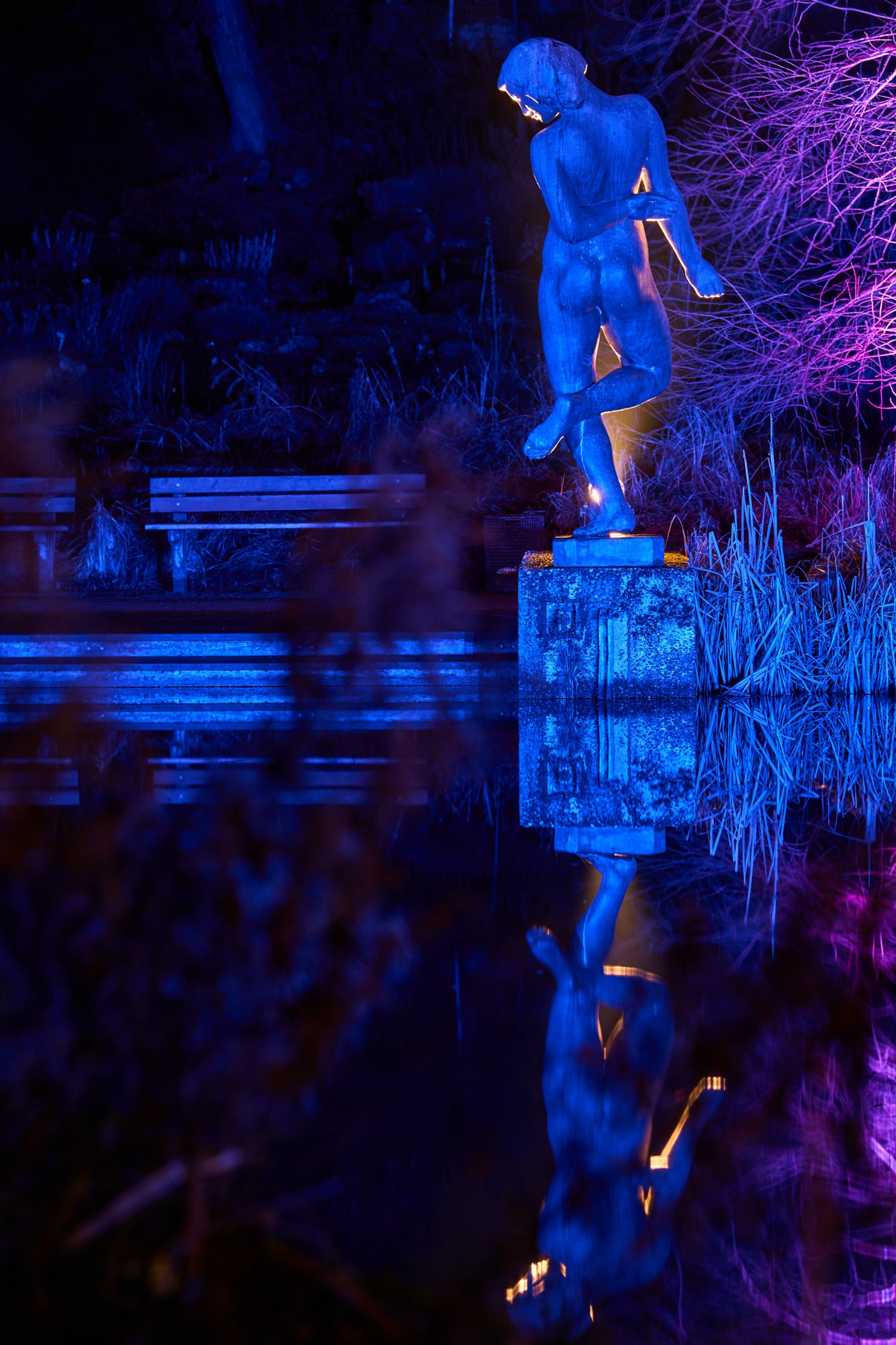 2026 02 03 Parkleuchten 0237